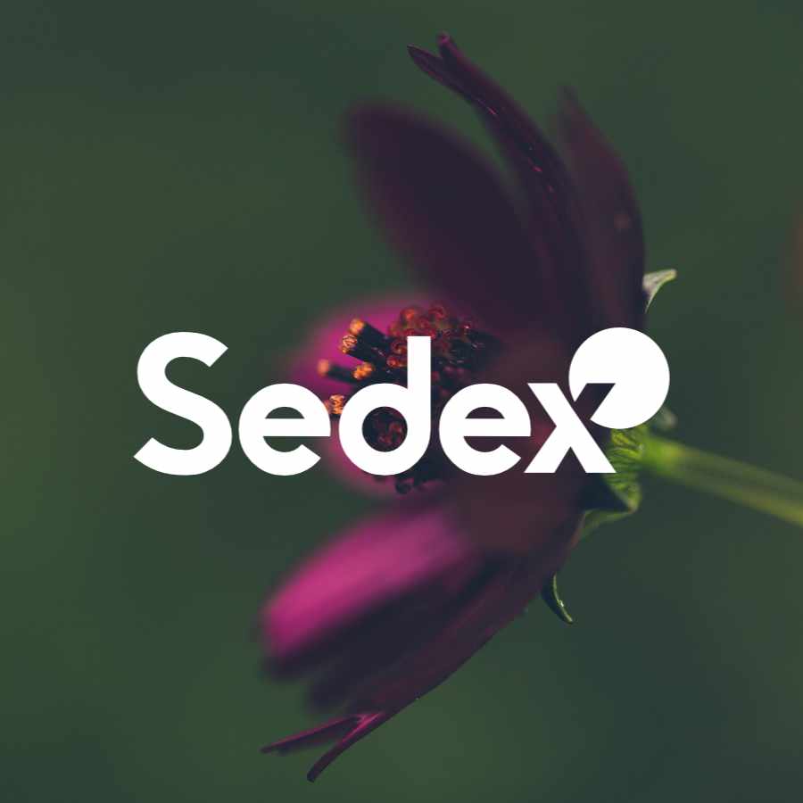 certificacion-SEDEX