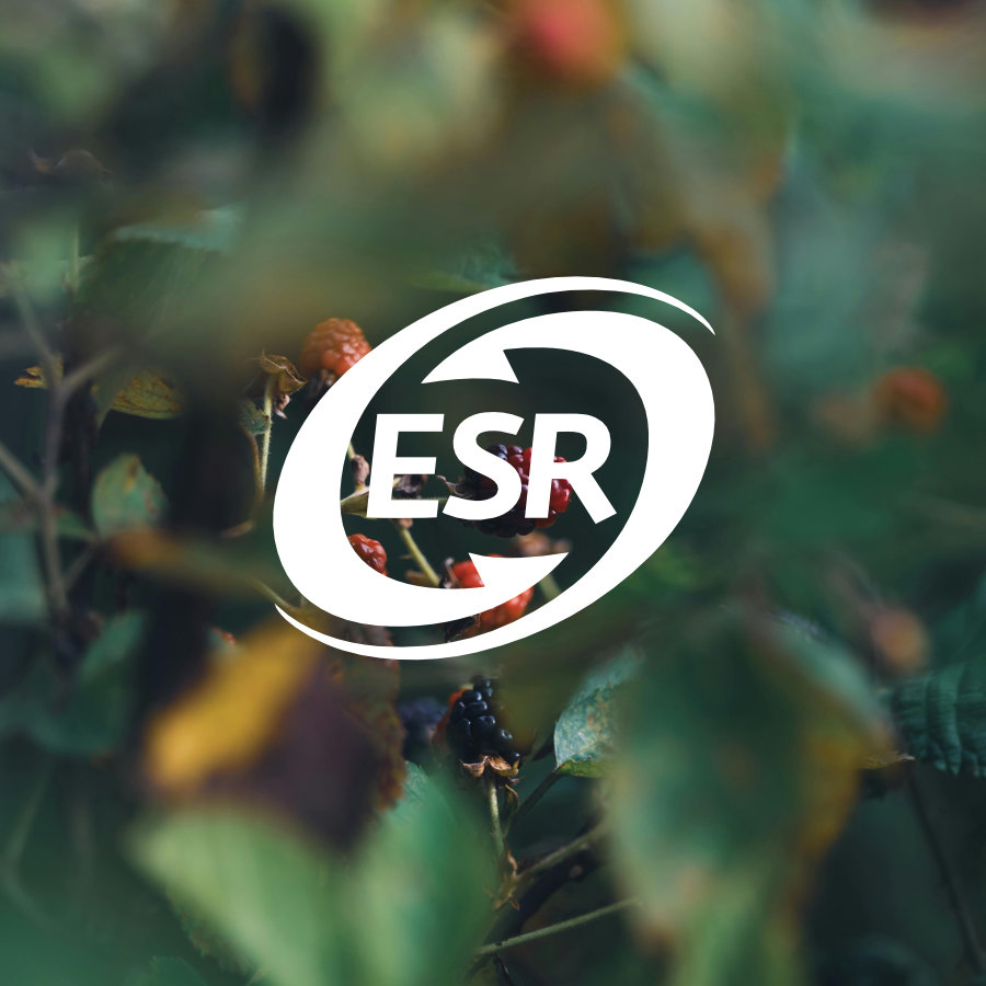 certificacion-esr